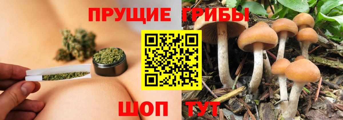 Белебей  Галлюциногенные грибы прущие грибы  Псилоцибиновые грибы прущие грибы  закладки  Вход с VPN 