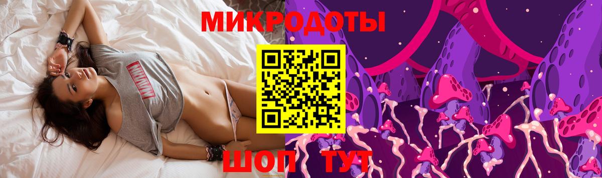 Галлюциногенные грибы Psilocybine cubensis Белебей